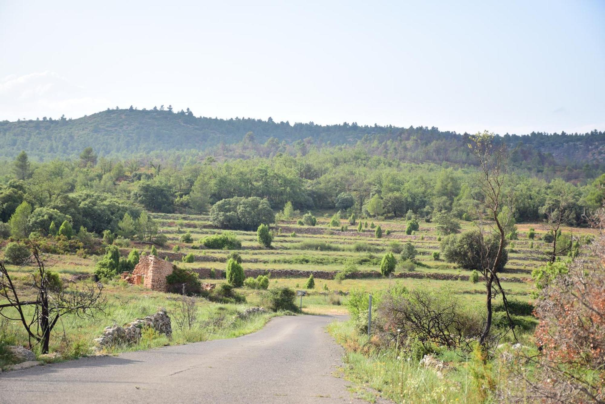 Oasis Rural Villa Los Pastores Eksteriør bilde